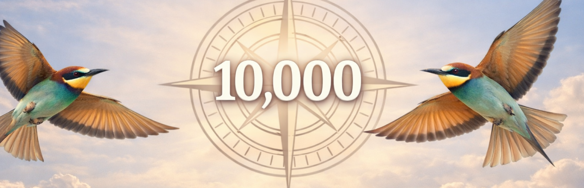 hero contest
